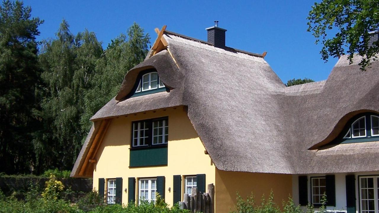 Ferienhaeuser Fischland 디르하겐 외부 사진